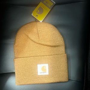 Carhartt hat NWT
